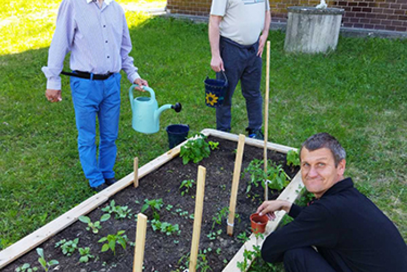 udalosti / Náš nový záhon - foto udalosti / Náš nový záhon - foto